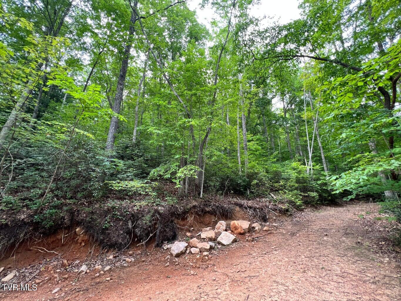 Tbd Kaitlin Road Hampton, TN 37658 - Photo 20 of 21 7