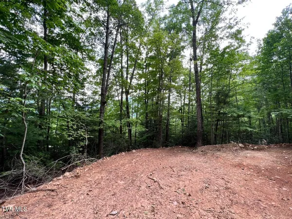 $125,000 | Tbd Kaitlin Road, Hampton, TN 37658