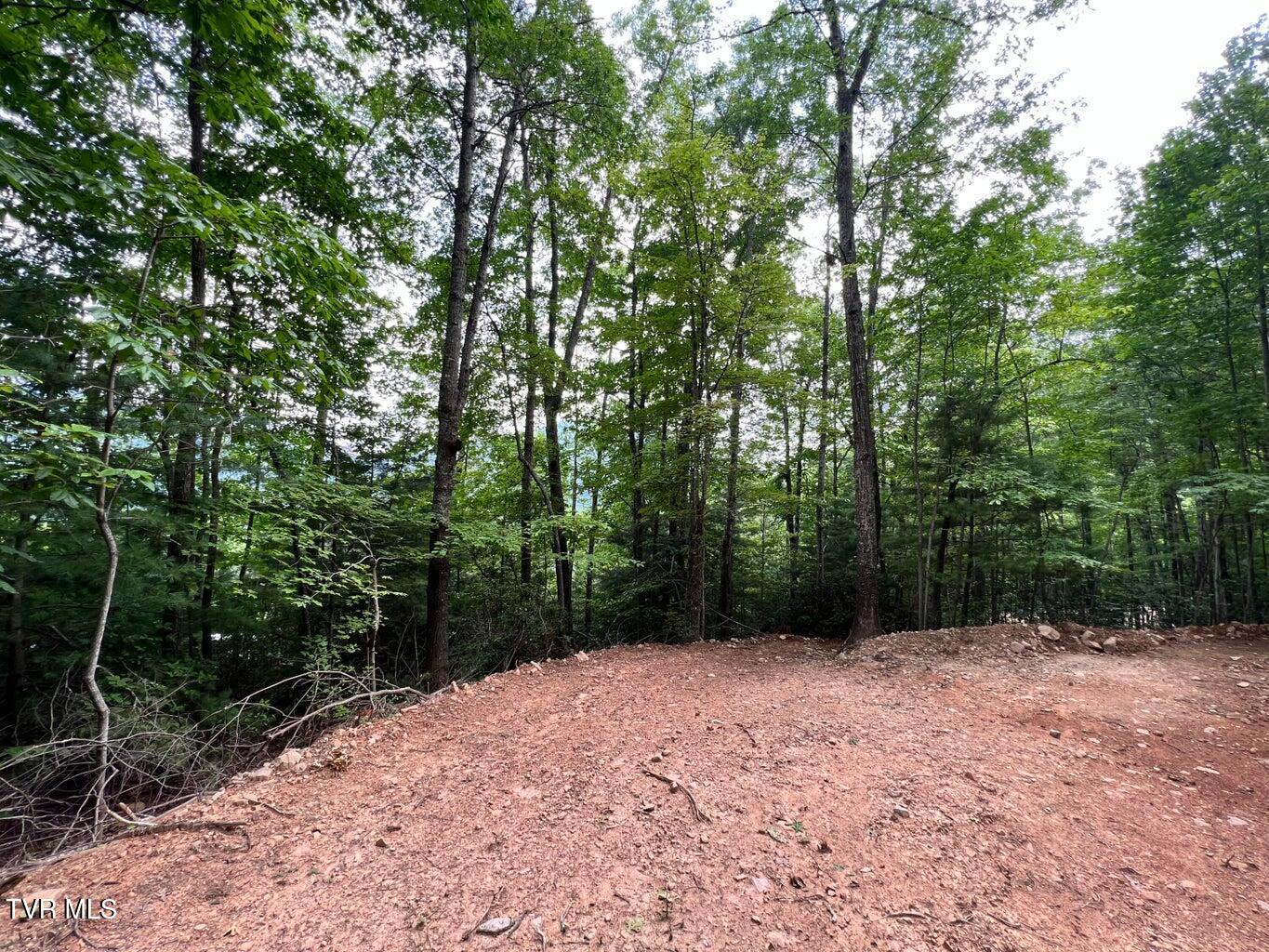 Tbd Kaitlin Road Hampton, TN 37658 - Photo 21 of 26 3