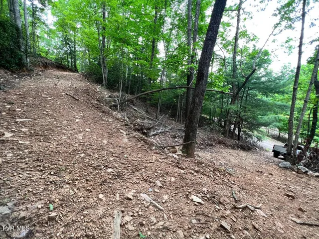 $125,000 | Tbd Kaitlin Road, Hampton, TN 37658