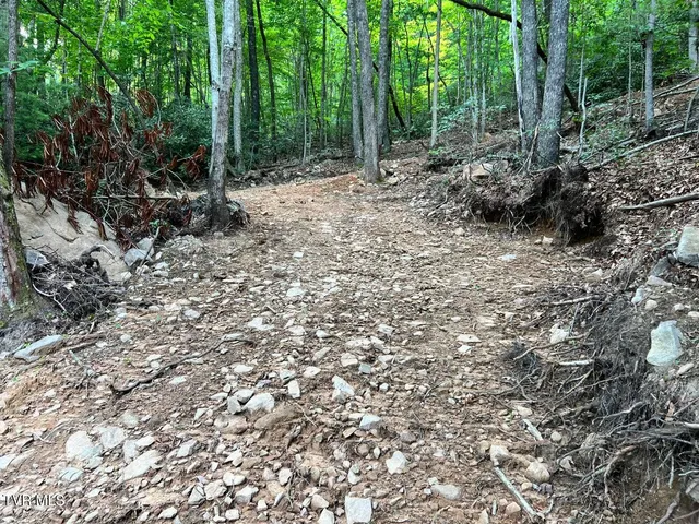 $125,000 | Tbd Kaitlin Road, Hampton, TN 37658