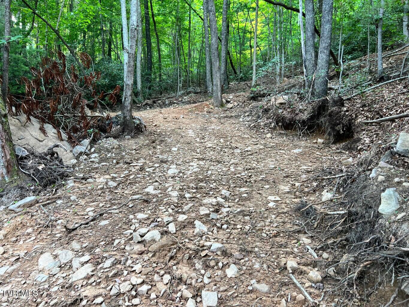 Tbd Kaitlin Road Hampton, TN 37658 - Photo 23 of 26 5