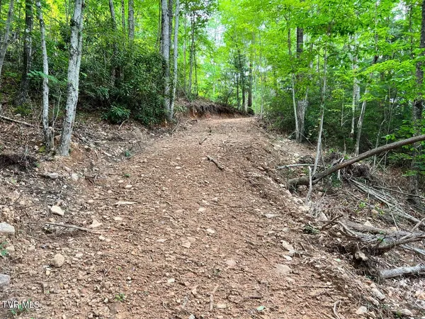 $125,000 | Tbd Kaitlin Road, Hampton, TN 37658