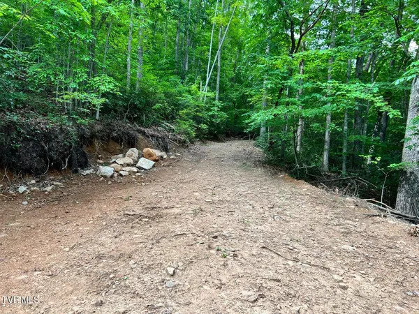 $125,000 | Tbd Kaitlin Road, Hampton, TN 37658