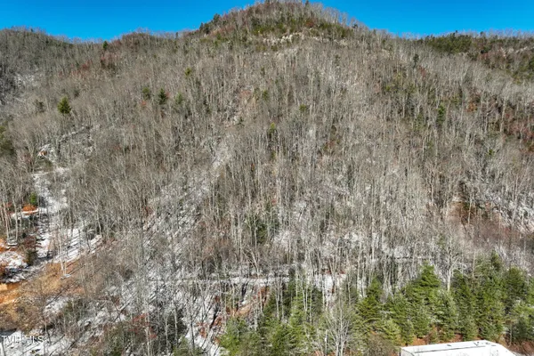 $125,000 | Tbd Kaitlin Road, Hampton, TN 37658