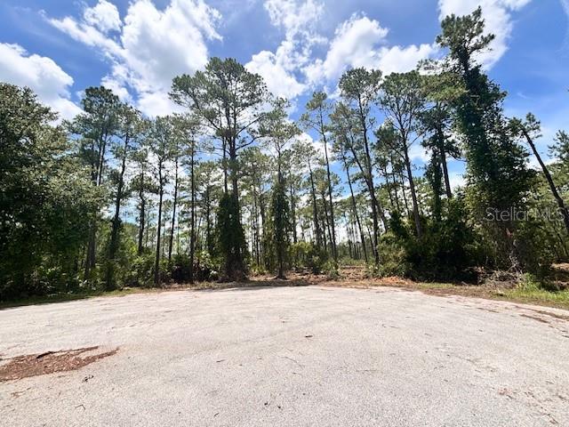Chinaberry Way Eustis, FL 32736 - Photo 1 of 4 a view of outdoor space with trees