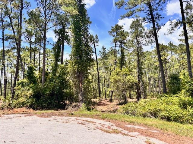 Chinaberry Way Eustis, FL 32736 - Photo 2 of 4 a view of a yard covered with snow
