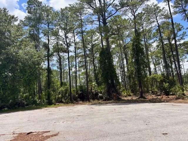 a view of road and trees