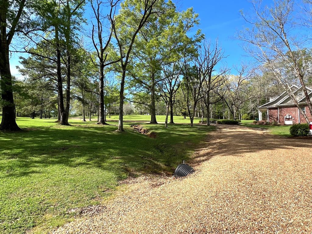 1092 Carpenter Lane Summit, MS 39666 - Photo 42 of 63 Driveway to home