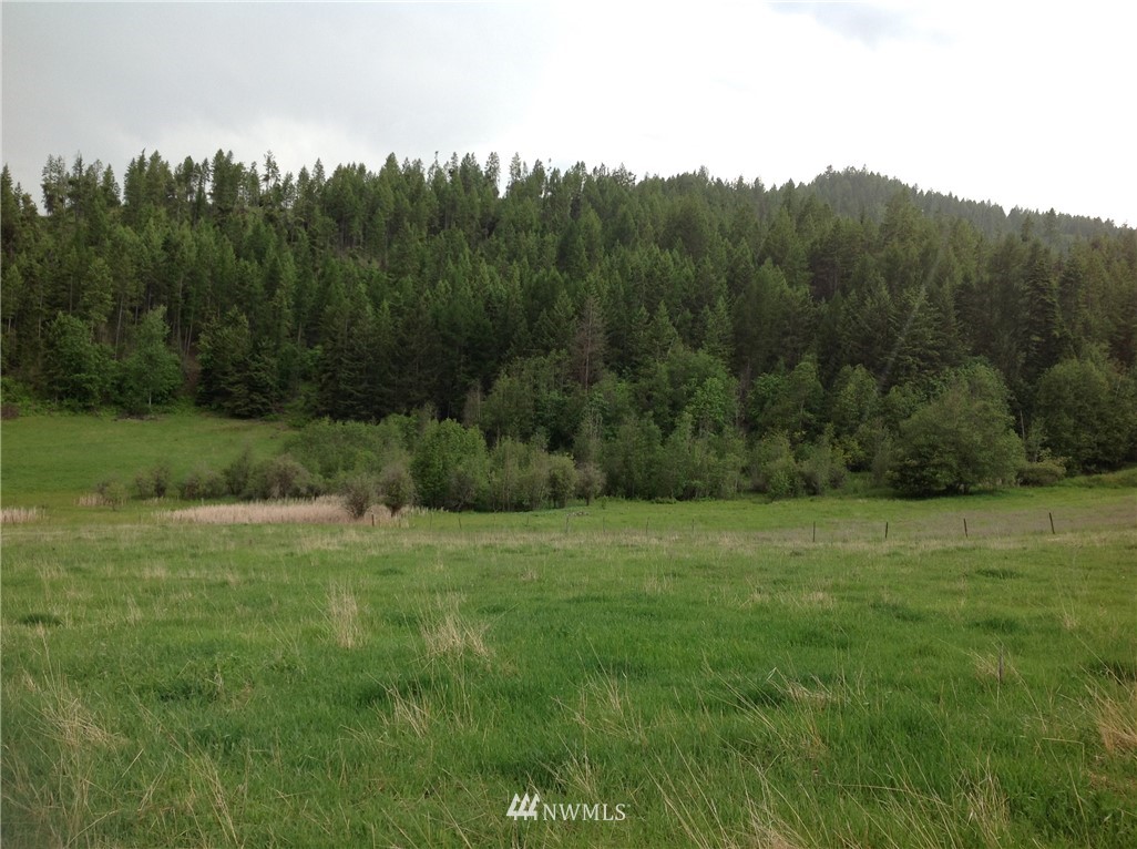 0 Burgess Road Addy, WA 99101 - Photo 1 of 1