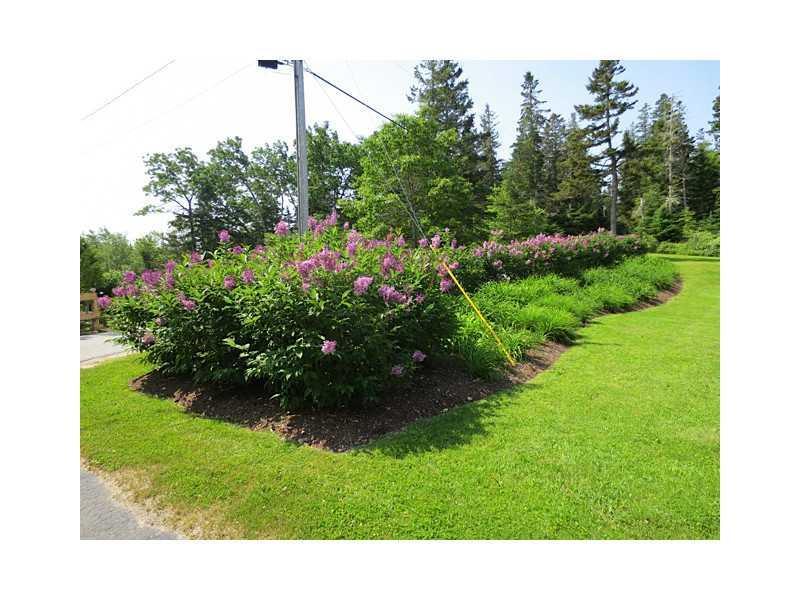 9 Goose Cove Road Deer Isle, ME 04627 - Photo 29 of 34 Yard/Garden.