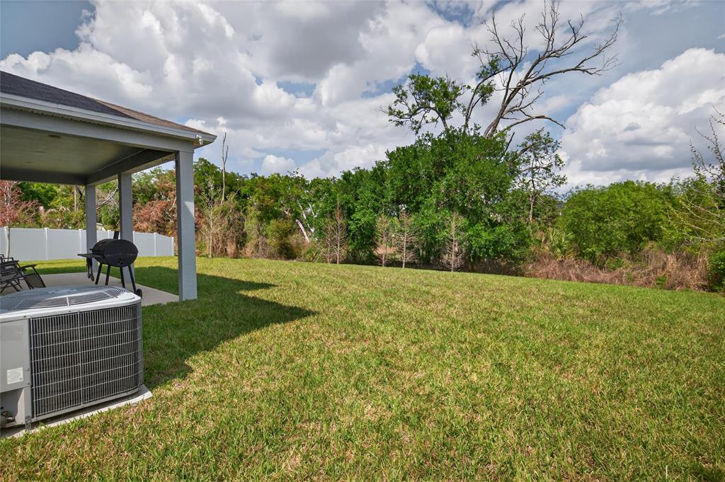3996 Reflection Dock Drive Seffner, FL 33584 - Photo 6 of 53