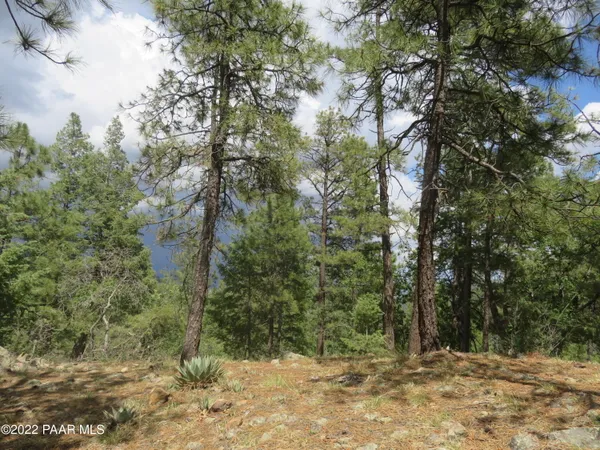 a view of outdoor space and trees