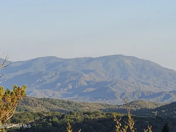 a view of a mountain in the distance