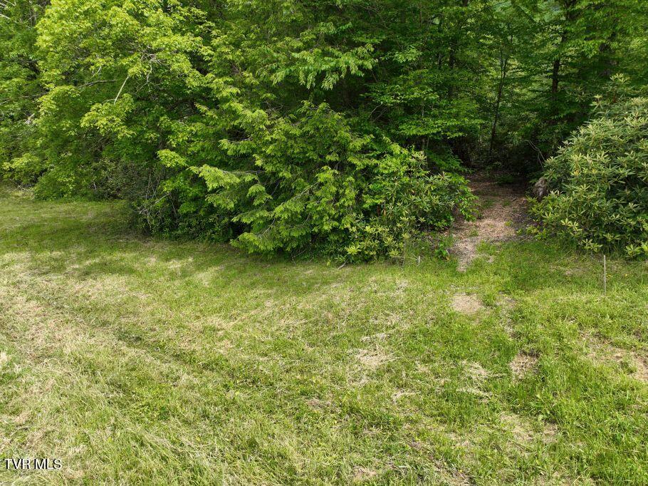 1768 Ripshin Mountain Road, Unit 54 Roan Mountain, TN 37687 - Photo 12 of 26 12