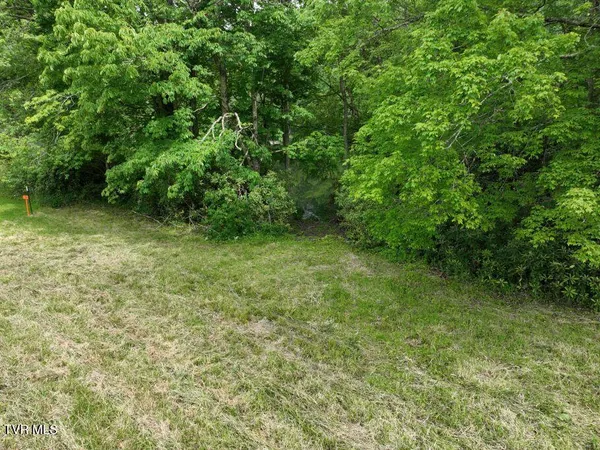 $195,000 | 1768 Ripshin Mountain Road, Unit 54, Roan Mountain, TN 37687
