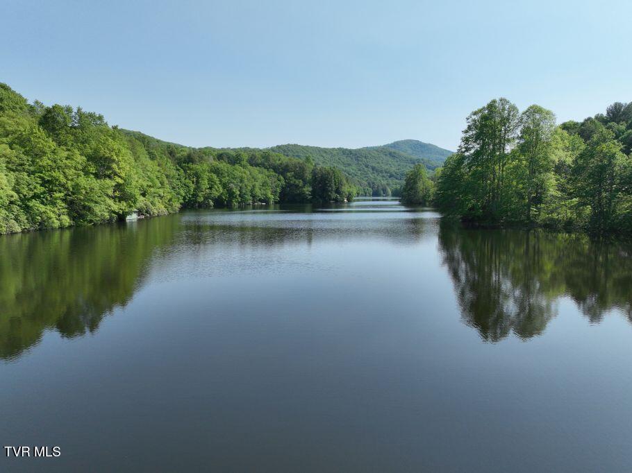1768 Ripshin Mountain Road, Unit 54 Roan Mountain, TN 37687 - Photo 18 of 26 18