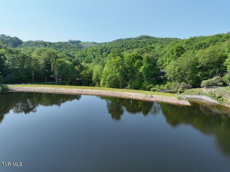 1768 Ripshin Mountain Road, Unit 54 Roan Mountain, TN 37687 - Photo 22 of 26 22