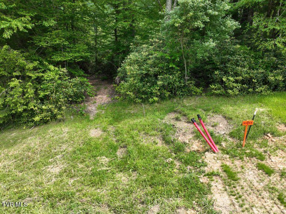 1768 Ripshin Mountain Road, Unit 54 Roan Mountain, TN 37687 - Photo 3 of 26 2