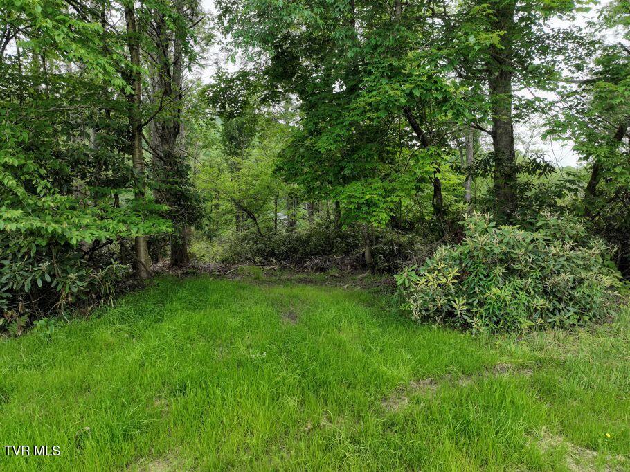 1768 Ripshin Mountain Road, Unit 54 Roan Mountain, TN 37687 - Photo 4 of 26 3