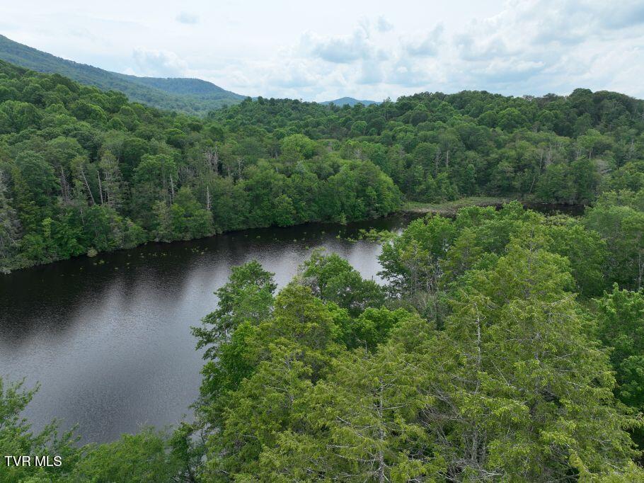 1768 Ripshin Mountain Road, Unit 54 Roan Mountain, TN 37687 - Photo 7 of 26 6