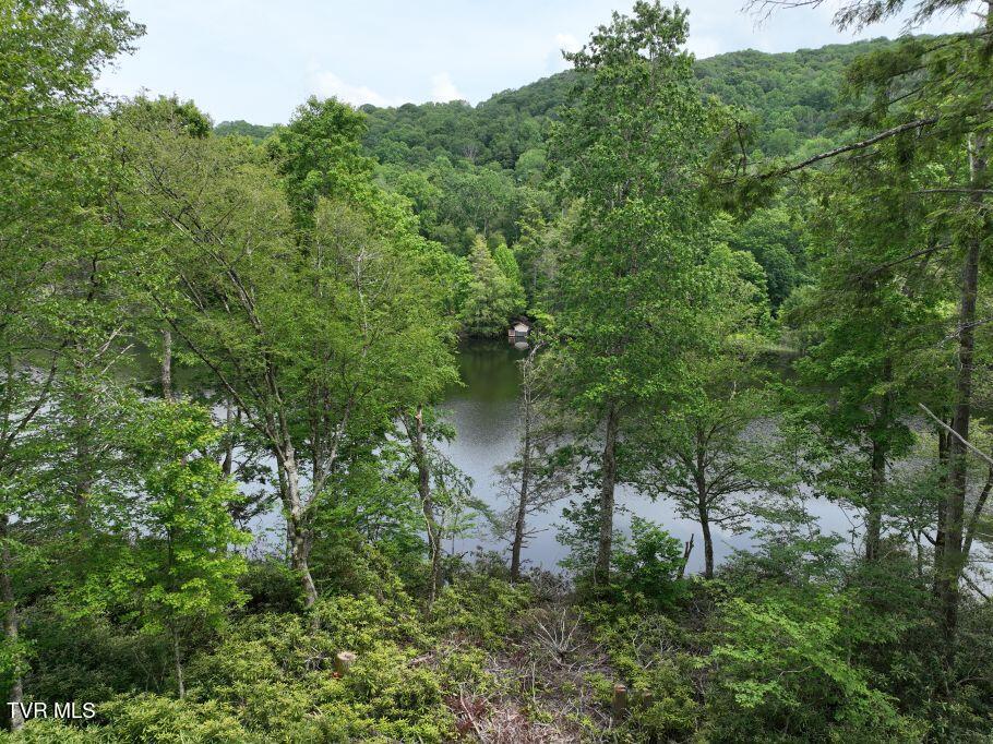 1768 Ripshin Mountain Road, Unit 54 Roan Mountain, TN 37687 - Photo 9 of 26 9