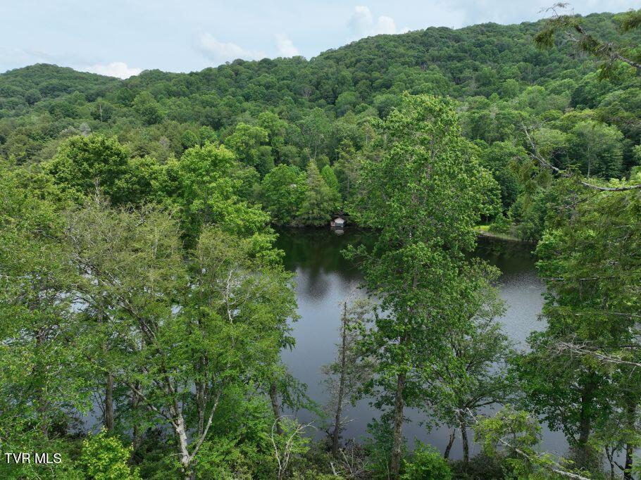 1768 Ripshin Mountain Road, Unit 54 Roan Mountain, TN 37687 - Photo 10 of 26 10