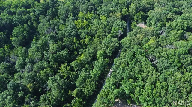 $9,999 | 2 Grand Loop, Catawissa, MO 63015