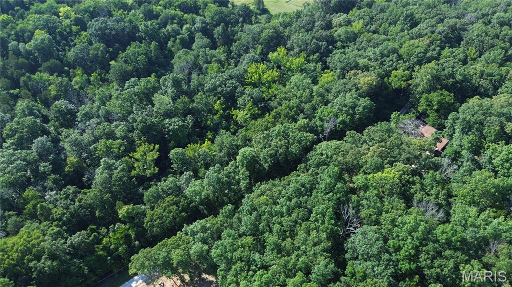 2 Grand Loop Catawissa, MO 63015 - Photo 16 of 21