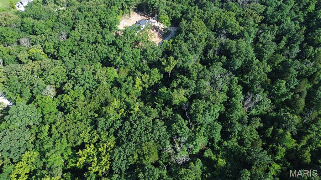 2 Grand Loop Catawissa, MO 63015 - Photo 9 of 21