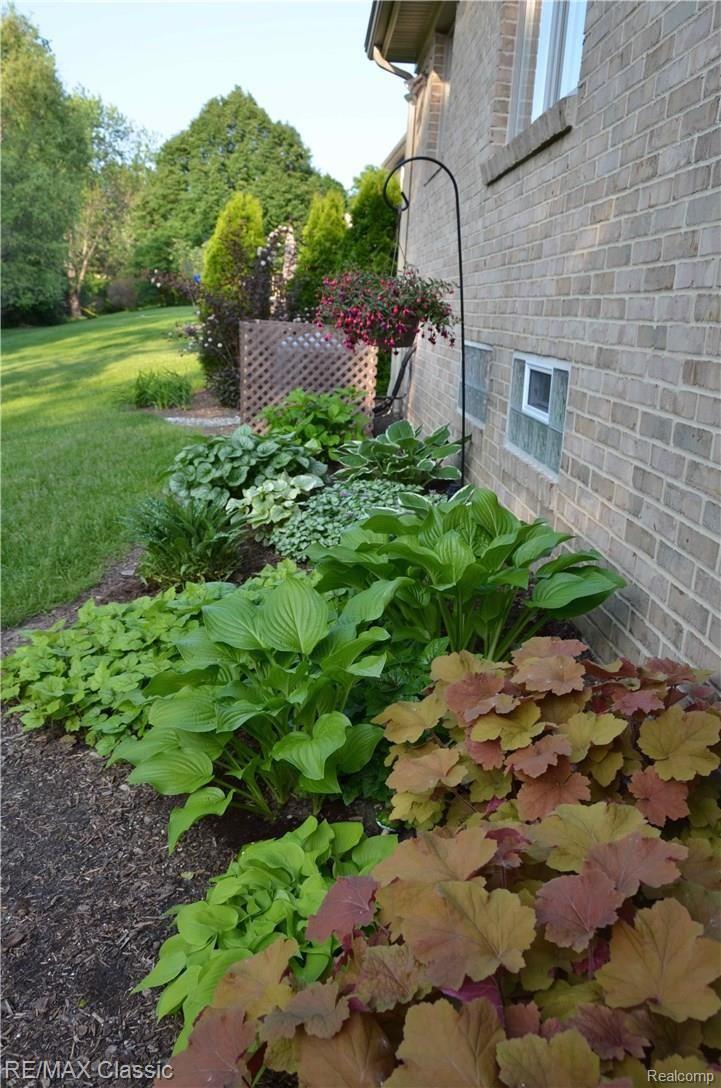 40906 Village Wood Road Novi, MI 48375 - Photo 9 of 28 Side landscaping