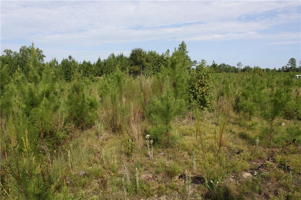0 Balerma Church Road Sparta, GA 31087 - Photo 16 of 19 Gallery Image 16