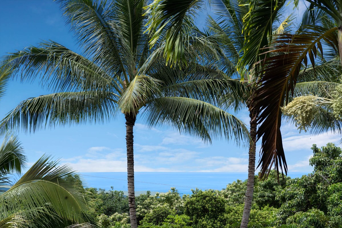83-5594 Middle Keei Road, Unit 2 Captain Cook, HI 96704 - Photo 27 of 30 Gallery Image 27