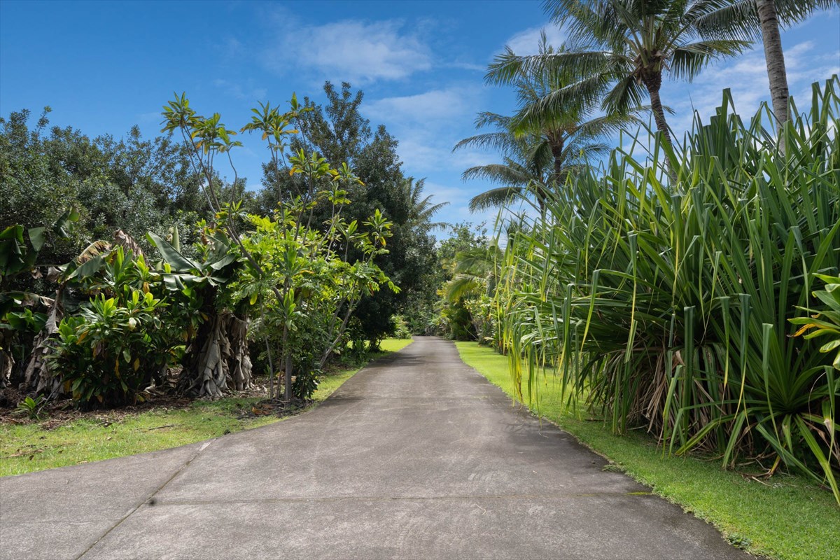 83-5594 Middle Keei Road, Unit 2 Captain Cook, HI 96704 - Photo 3 of 30 Gallery Image 3