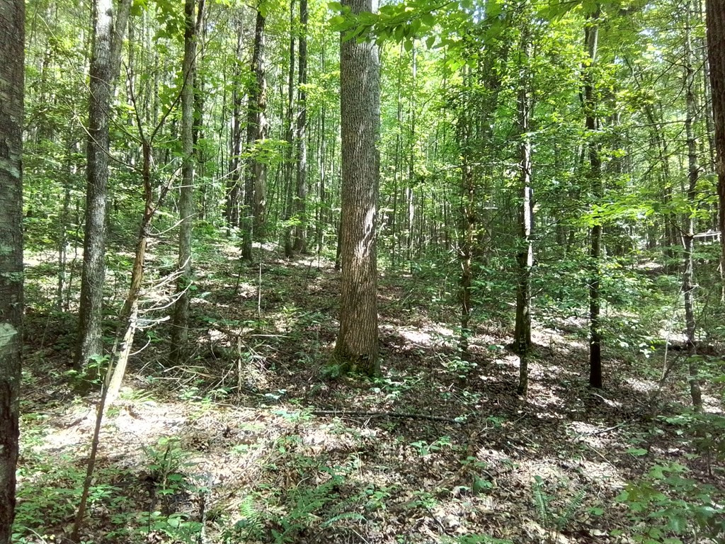 1378 S Morrow Road Murphy, NC 28906 - Photo 15 of 27