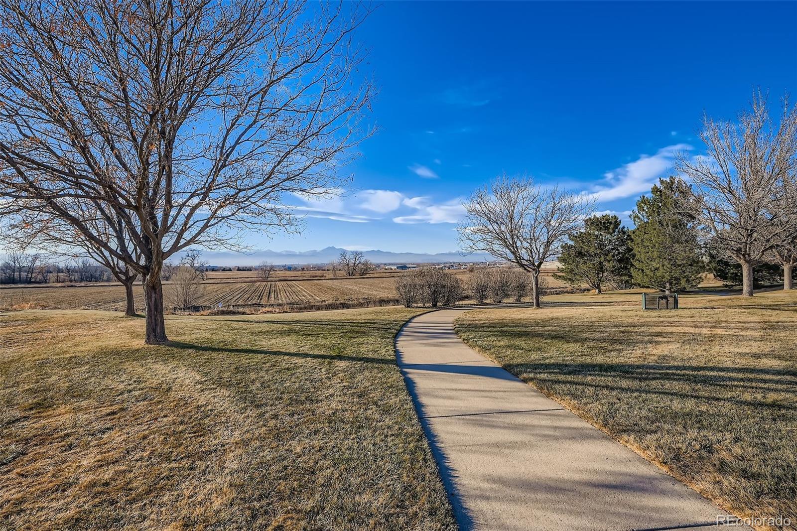 4712 Sandy Ridge Avenue Firestone, CO 80504 - Photo 28 of 29 a view of dirt yard with a large tree