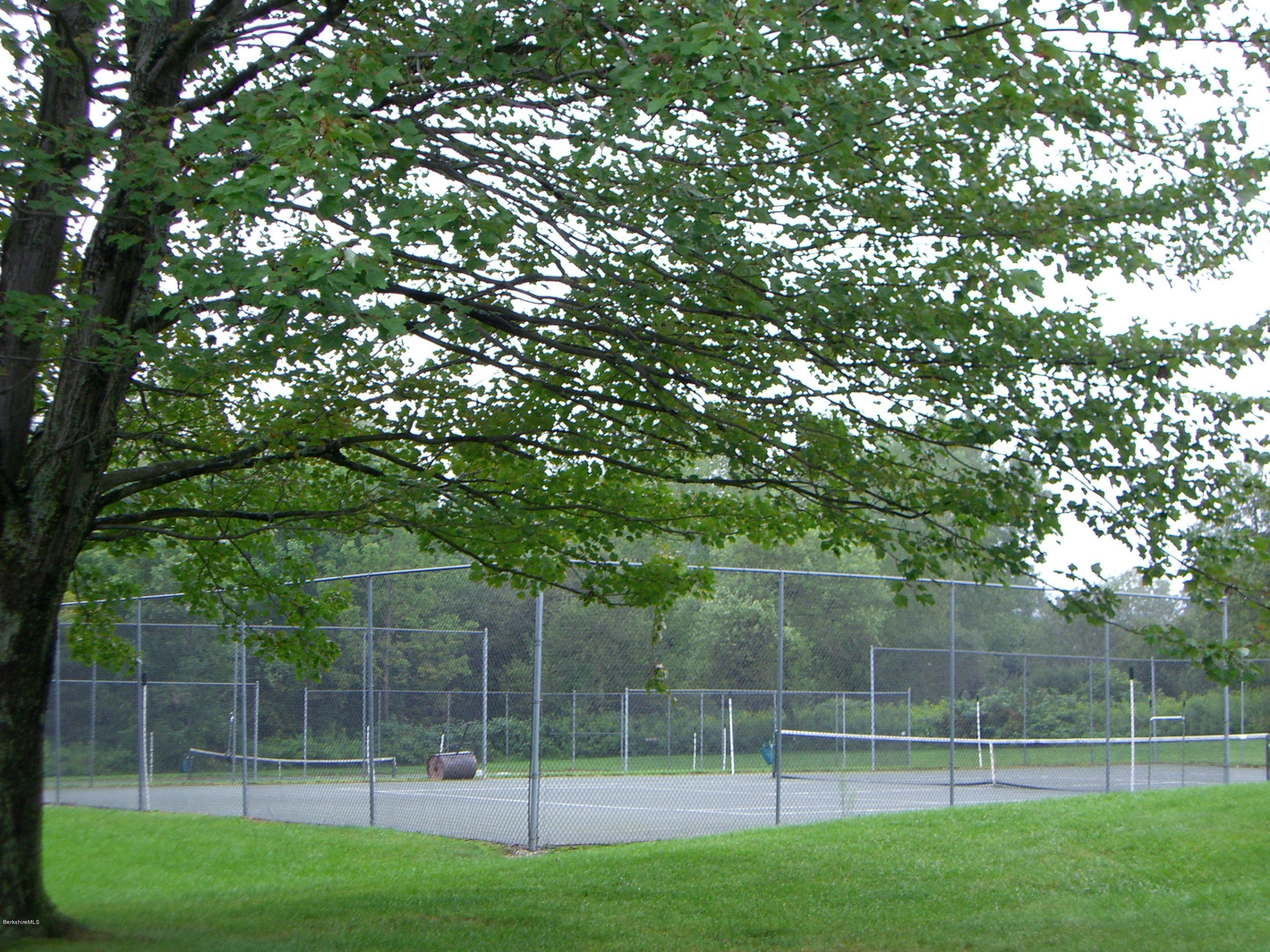 1136 Barker Road, Unit 9 Pittsfield, MA 01201 - Photo 52 of 60 a view of a yard with a tree