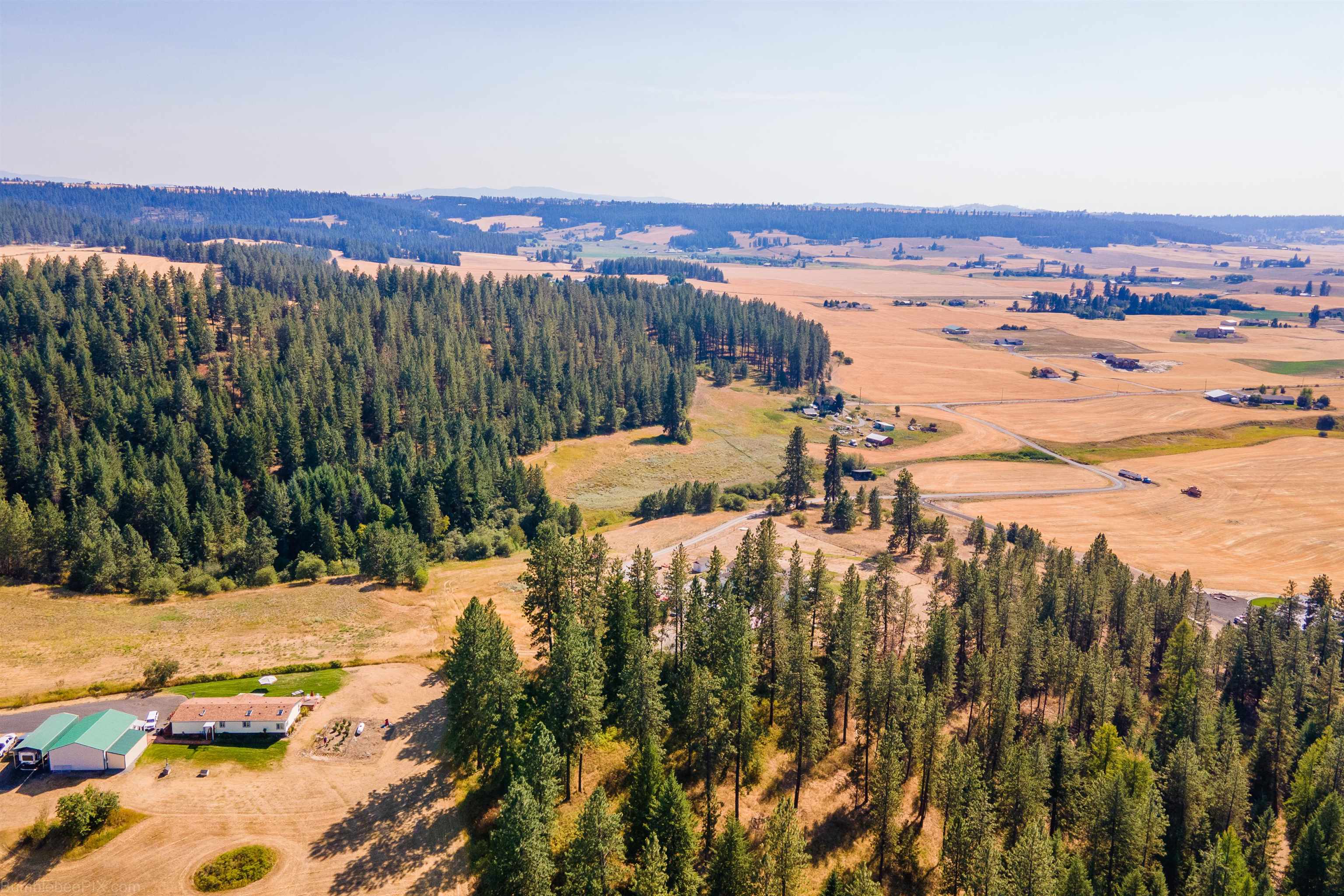 11603 East Taylor Road Mead, WA 99021 - Photo 6 of 20