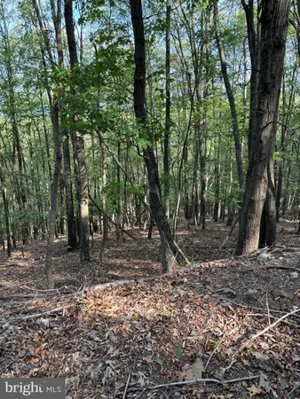$34,900 | 699 Chickloon Lane, Great Cacapon, WV 25422