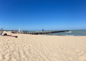 1242 West Pratt Boulevard, Unit 3F Chicago, IL 60626 - Photo 28 of 30 a view of an ocean and beach