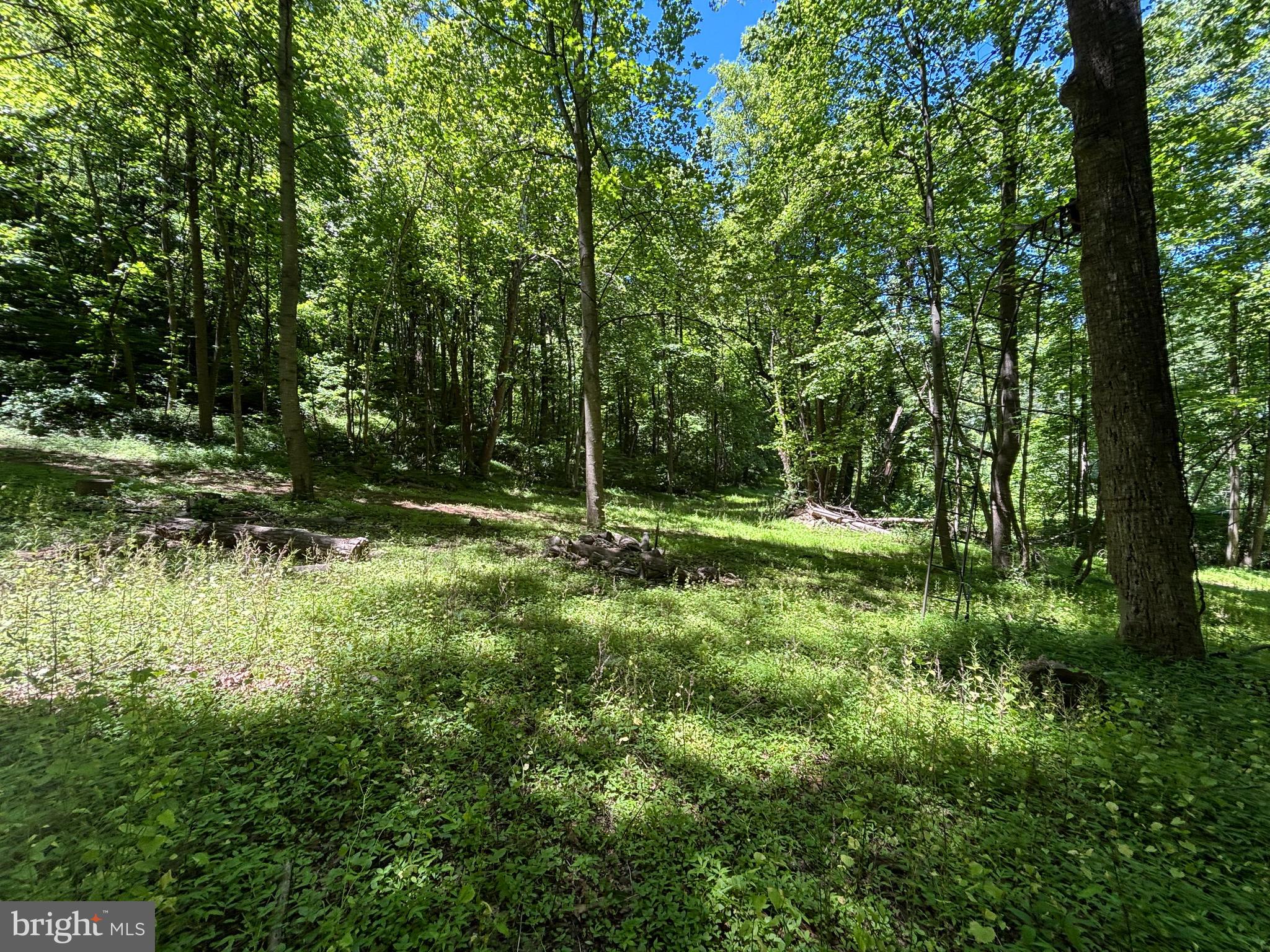 Jordan Hollow Road Stanley, VA 22851 - Photo 13 of 26