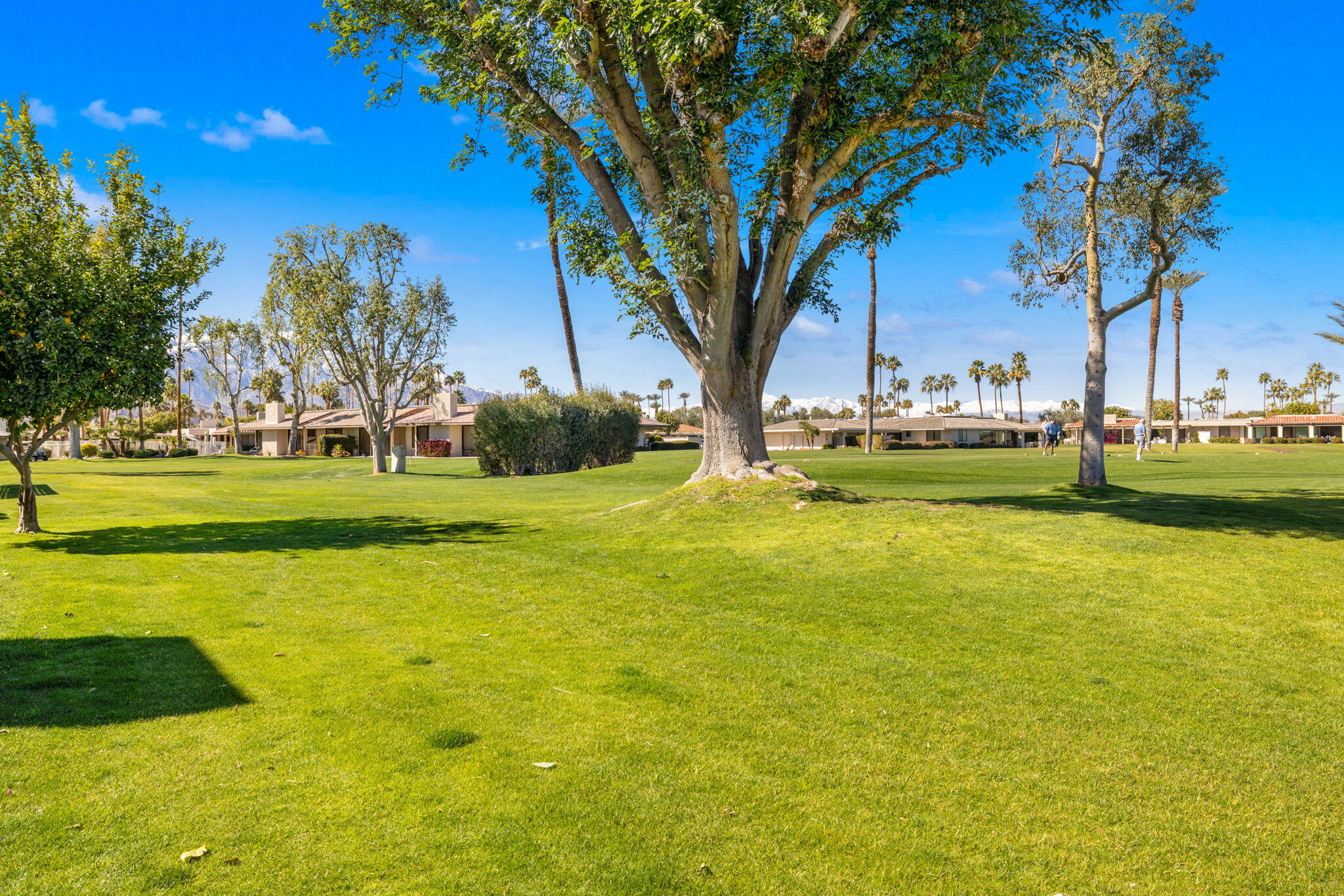 55 Cornell Drive Rancho Mirage, CA 92270 - Photo 53 of 62 50-web-or-mls-2Z7A7674