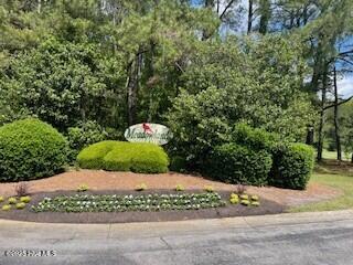 1071 Ridge Walk Way Northwest Calabash, NC 28467 - Photo 40 of 40 Meadowland Entrance