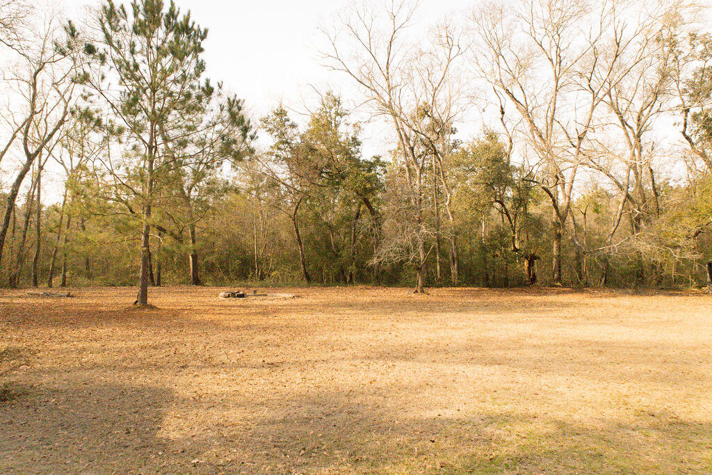 1447 State Rd S-15-28 Walterboro, SC 29488 - Photo 25 of 29 3T6A5325