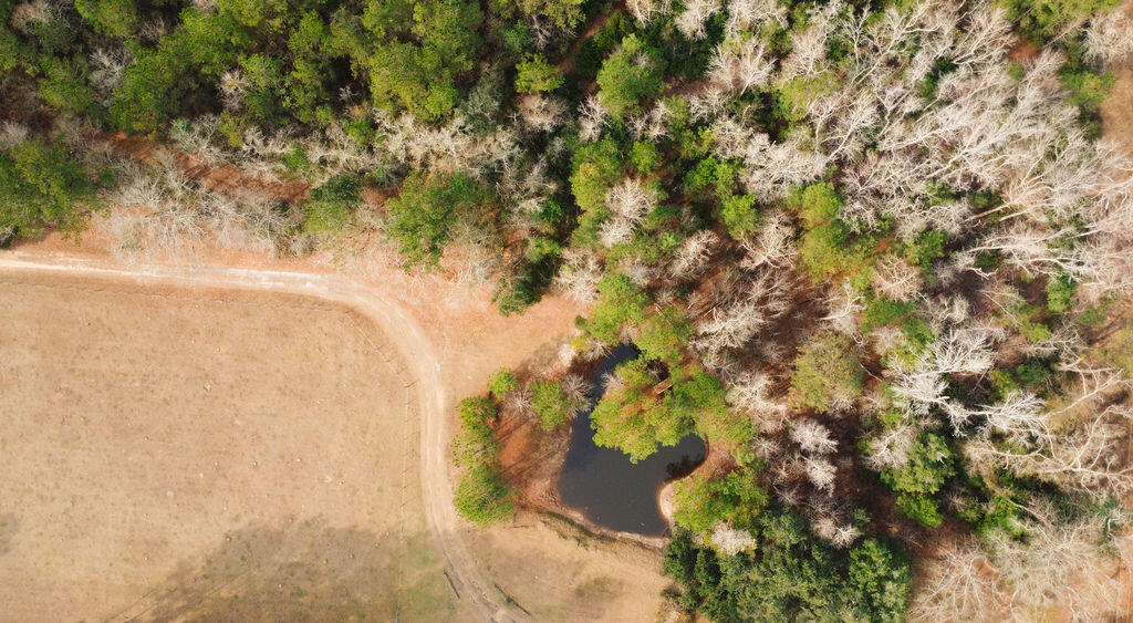 1447 State Rd S-15-28 Walterboro, SC 29488 - Photo 26 of 29 DJI_0524