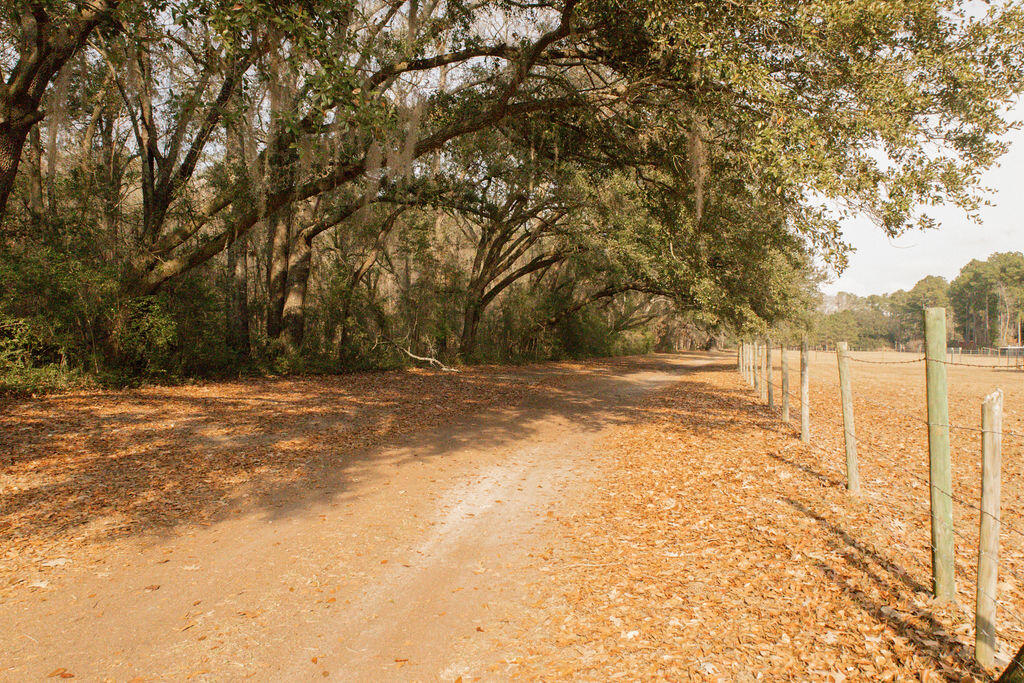 1447 State Rd S-15-28 Walterboro, SC 29488 - Photo 28 of 29 3T6A5334