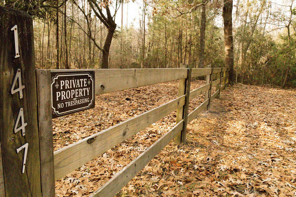 1447 State Rd S-15-28 Walterboro, SC 29488 - Photo 3 of 29 3T6A5346