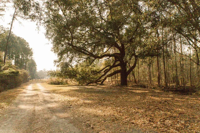 $299,000 | 1447 State Rd S-15-28, Walterboro, SC 29488