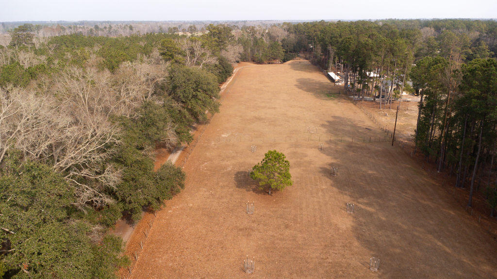 1447 State Rd S-15-28 Walterboro, SC 29488 - Photo 7 of 29 DJI_0539