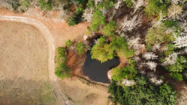 $299,000 | 1447 State Rd S-15-28, Walterboro, SC 29488
